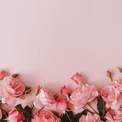 Beautiful pink roses flowers on pink background. Flatlay, top view minimalistic floral composition. Valentine's Day / Mother's Day holiday concept.