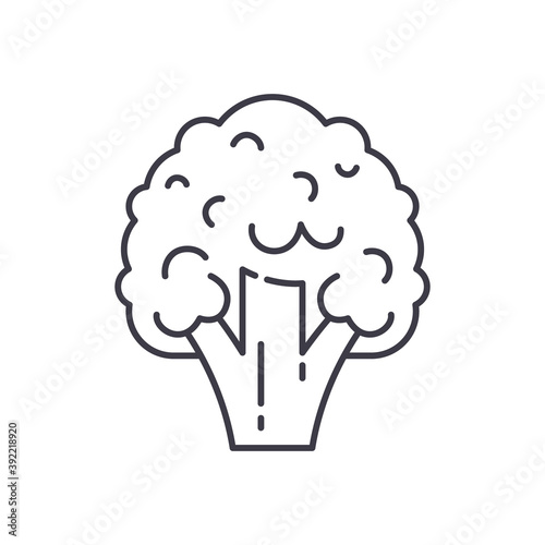 Broccoli icon, linear isolated illustration, thin line vector, web design sign, outline concept symbol with editable stroke on white background.