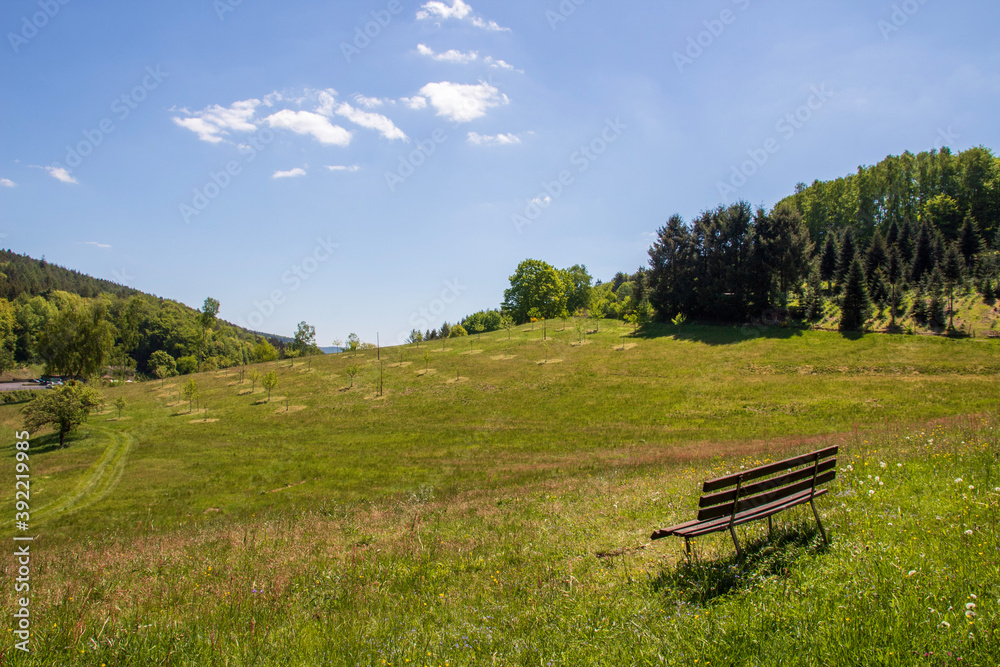 bench in the park