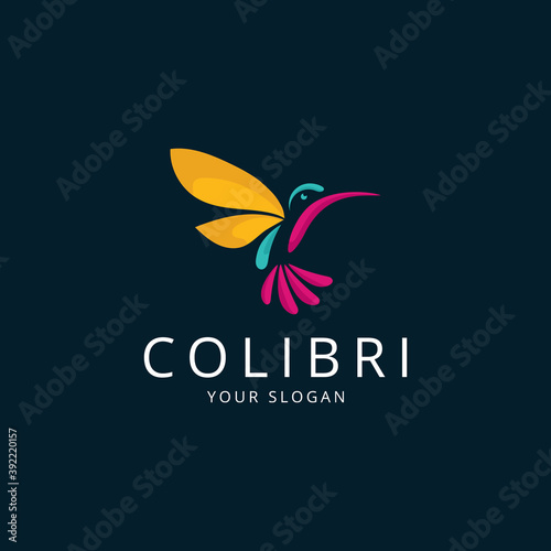 Colorful abstract hummingbird logo template