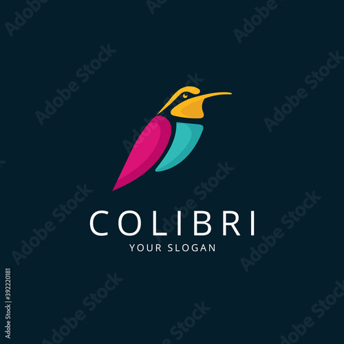 Colorful abstract hummingbird logo template