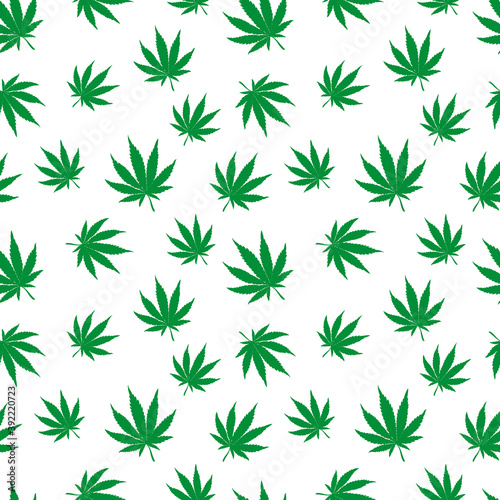 Cannabis plant vector seamless pattern. Simple stylized marijuana leaves on white background, vector illustration © Pavel
