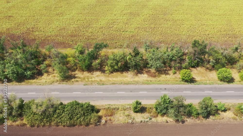 Aerial view. Highway near sunflower fields in autumn. Aerial view. Highway near sunflower fields in autumn.