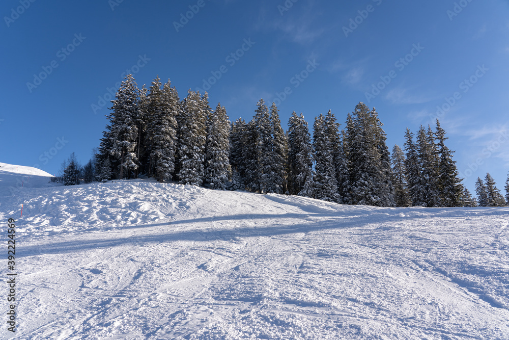 Snow caped hill with frozen forest against blue sky with white light clouds. Hasliberg, Switzerland. Copy space. Snow caped hill with frozen forest against blue sky with white light clouds. Hasliberg, Switzerland. Copy space.