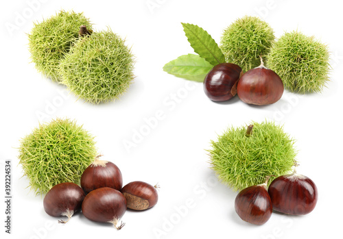 Set of sweet edible chestnuts on white background