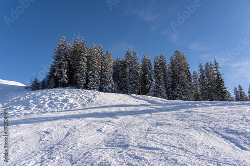 Snow caped hill with frozen forest against blue sky with white light clouds. Hasliberg, Switzerland. Copy space.