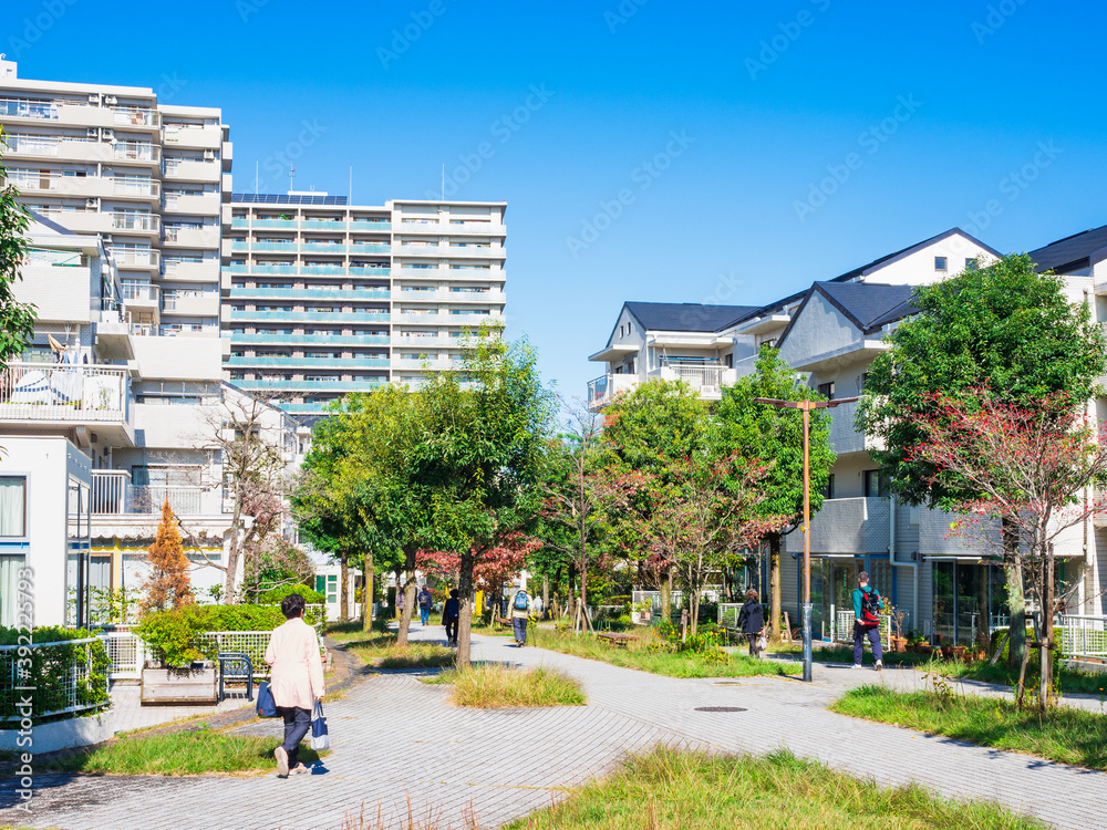 Naklejka premium 郊外の住宅地 生活道路