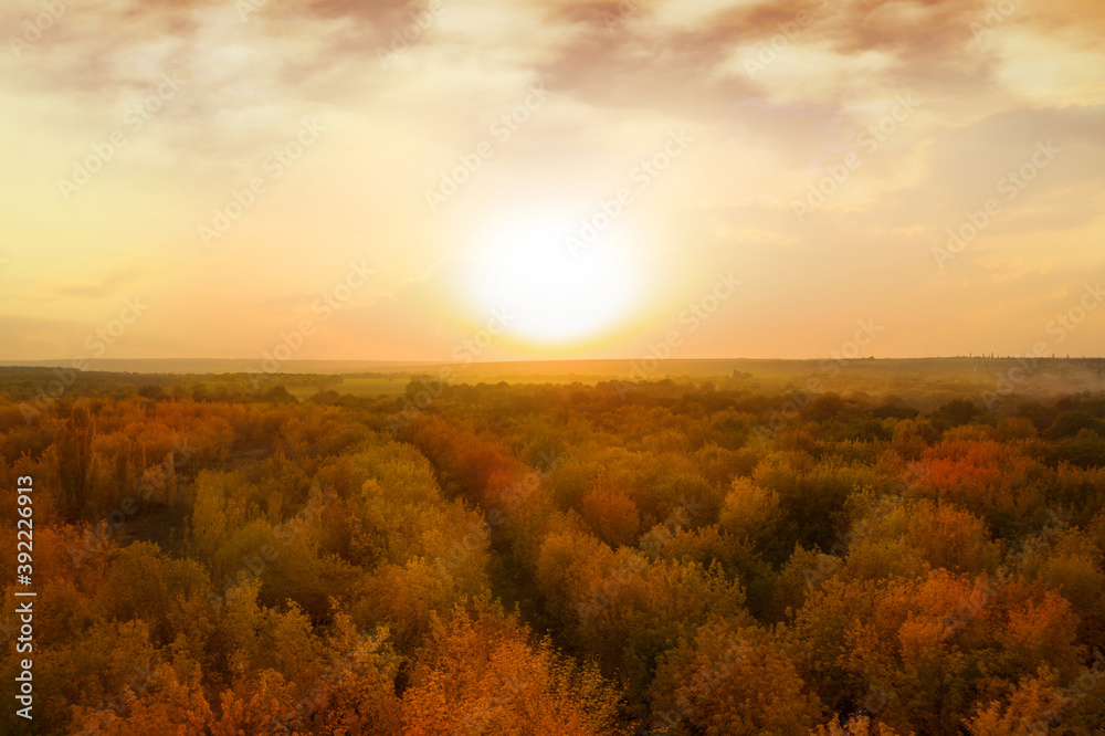 Aerial view of beautiful autumn forest and sun