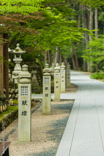 日本 静岡県袋井市、遠州三山の一つ法多山尊永寺境内の小道