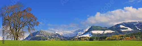 Allgäu - Herbst - Panorama - Berge - Bäume © Dozey