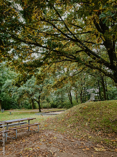 autumn in the park