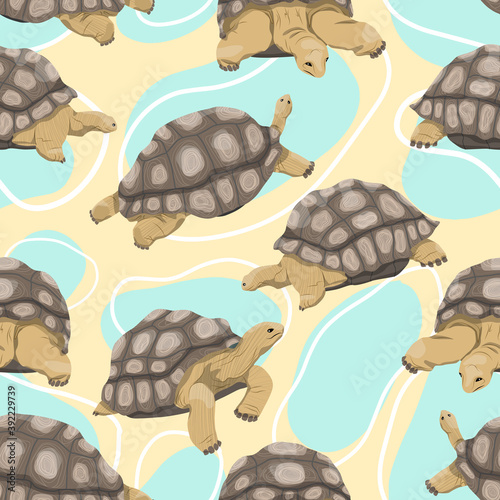 Seamless pattern. Aldabra giant tortoise in various poses. Aldabrachelys gigantea. An animal of the islands of the Pacific Ocean. Realistic vector animal