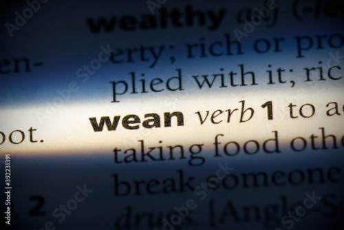 Fotografi wean