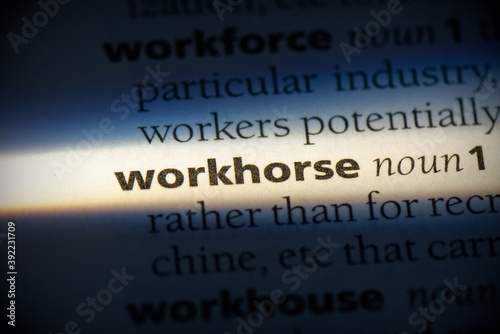 Fotografija workhorse