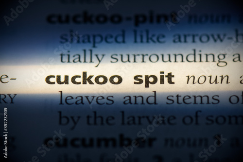 cukoo split photo