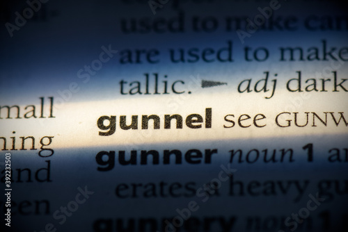 gunnel photo