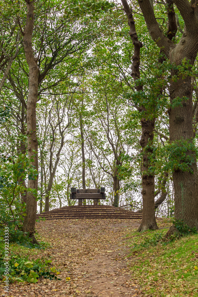 Viewpoint in Nature resrerve The High mountain at Texel, the largest wadden island of the Netherlands in North Holland Viewpoint in Nature resrerve The High mountain at Texel, the largest wadden island of the Netherlands in North Holland