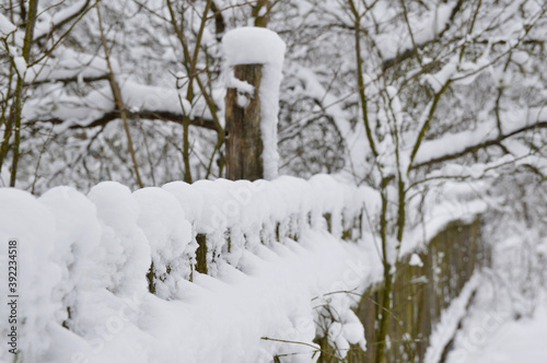 Winter in the village. First snow. Snowing. Snow lies on the fence and in the trees