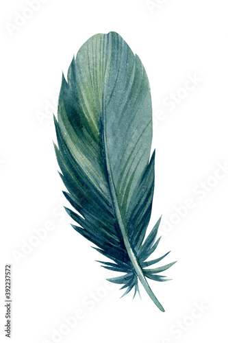 Green feather pen on white background, watercolor illustration