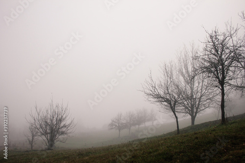Outdoor countryside autumn foggy scenery in the morning 