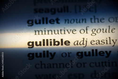 Obraz na płótnie gullible