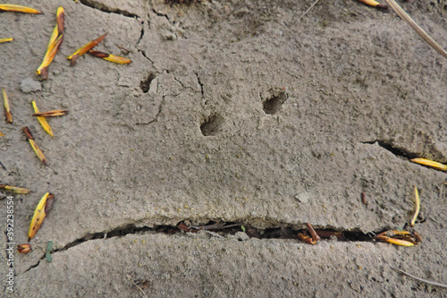 Billede på lærred cracks and fissures in dry soil looks like an intimidating sullen face