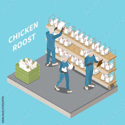Chicken Roost Isometric Background
