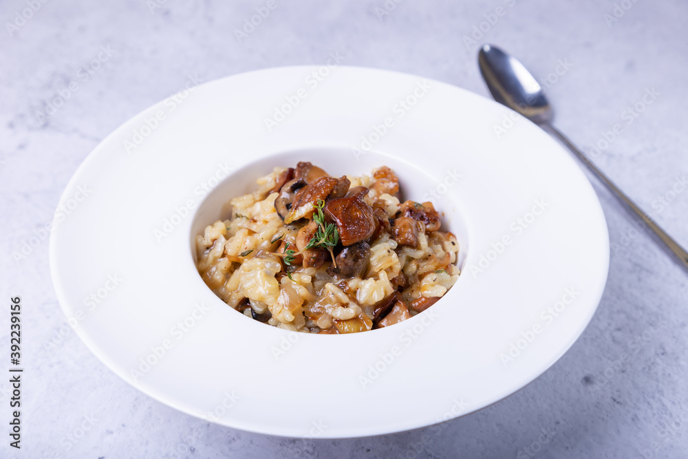 Risotto with porcini mushrooms. Traditional Italian dish. Close-up, horizontal orientation. Risotto with porcini mushrooms. Traditional Italian dish. Close-up, horizontal orientation.