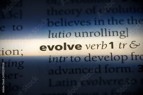 Obraz na płótnie evolve