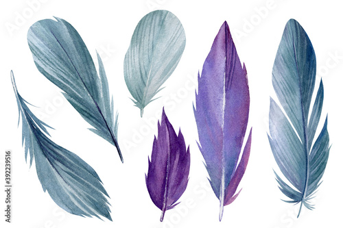 Feathers on white background, Watercolor picture