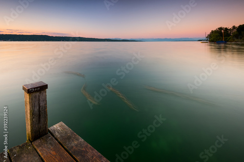 Holzsteg am Starnbeger See bei Bernried in Oberbayern im Sommer bei Sonnenaufgang