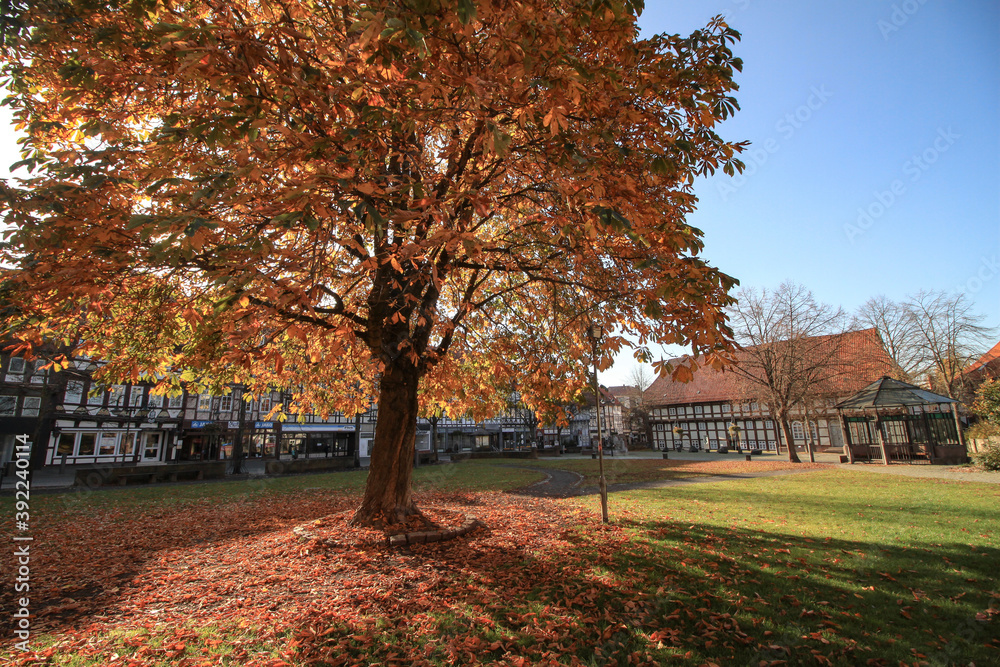 Herbst in Northeim; Am Münster mit Heimatmuseum Herbst in Northeim; Am Münster mit Heimatmuseum