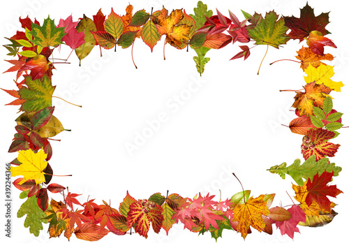 Autumn photo frames Made of autumn leaves