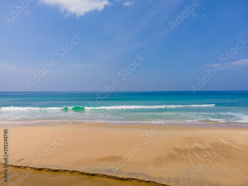 beach with trees