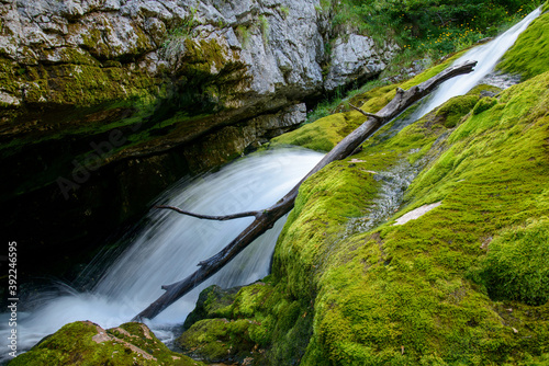 Fresh water stream in green