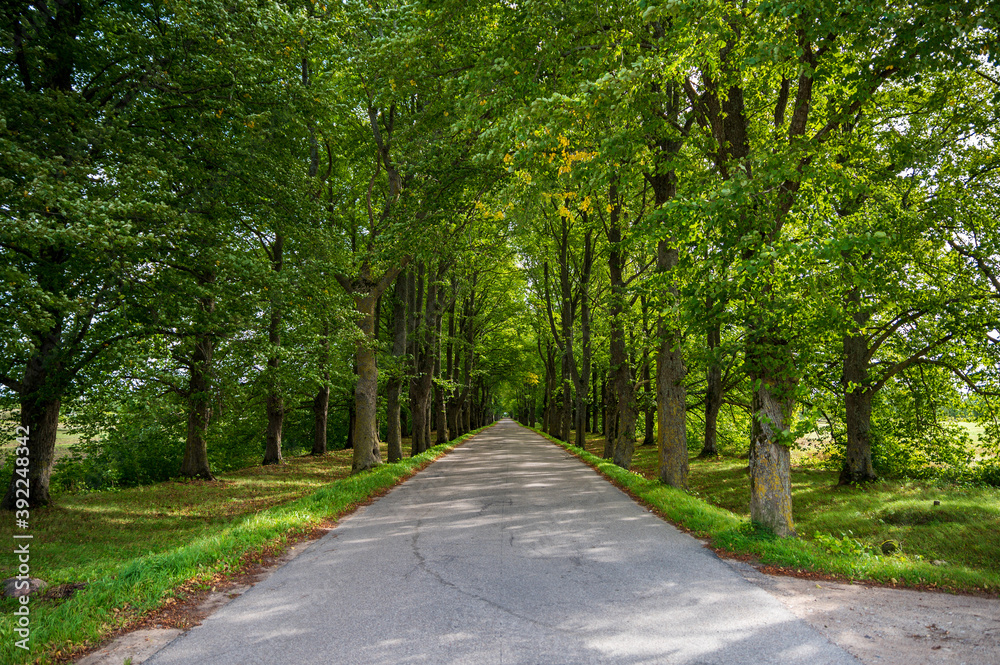 Beautiful roads and trails in nature.