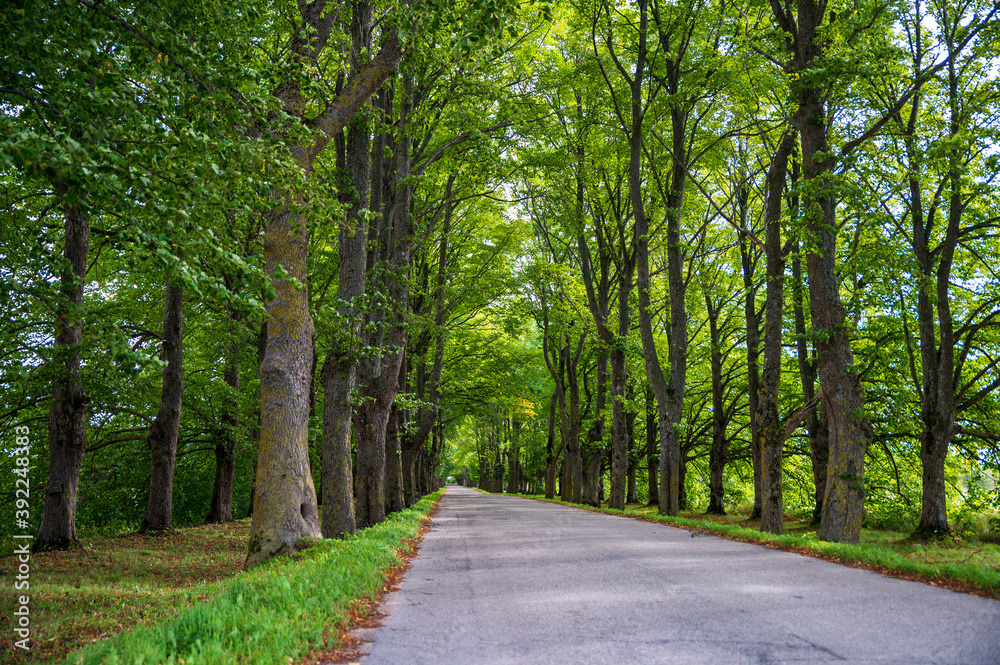 Beautiful roads and trails in nature.