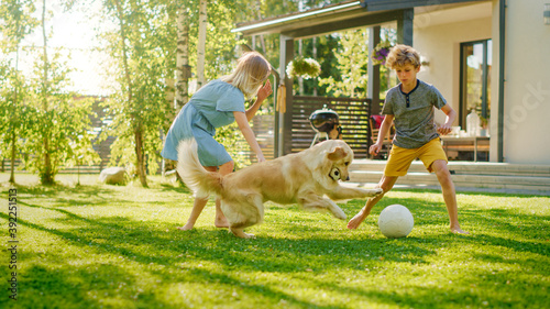Photos Two Kids Have fun with Their Handsome Golden Retriever Dog on the Backyard Lawn