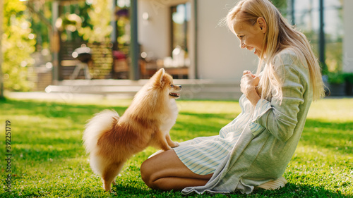 Young Beautiful Woman Plays with Her Cute Little Pomeranian Dog, She Teases it with Snack, Teaches, Trains and Cuddles Fluffy Puppy. Gorgeous Sunny day, Having Fun on the Idyllic House Lawn photo