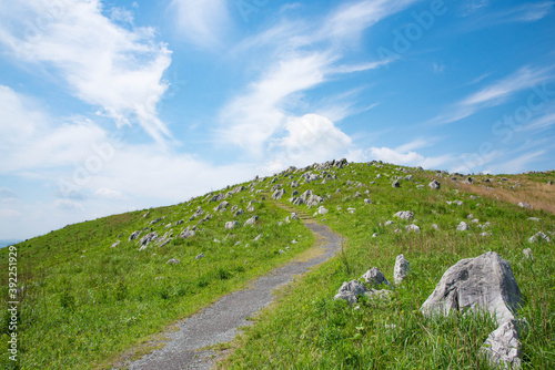 Akiyoshidai, a meadow on a sunny day