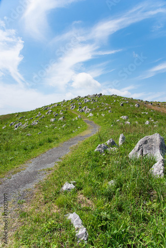 Akiyoshidai, a meadow on a sunny day photo