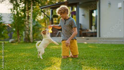 Cute Boy Plays with His Favourite Dog Friend while Having Picnic Outdoors on the Lawn. He Pets and Teases His Little Smooth Fox Terrier with His Favourite Toy. Idyllic Summer House.