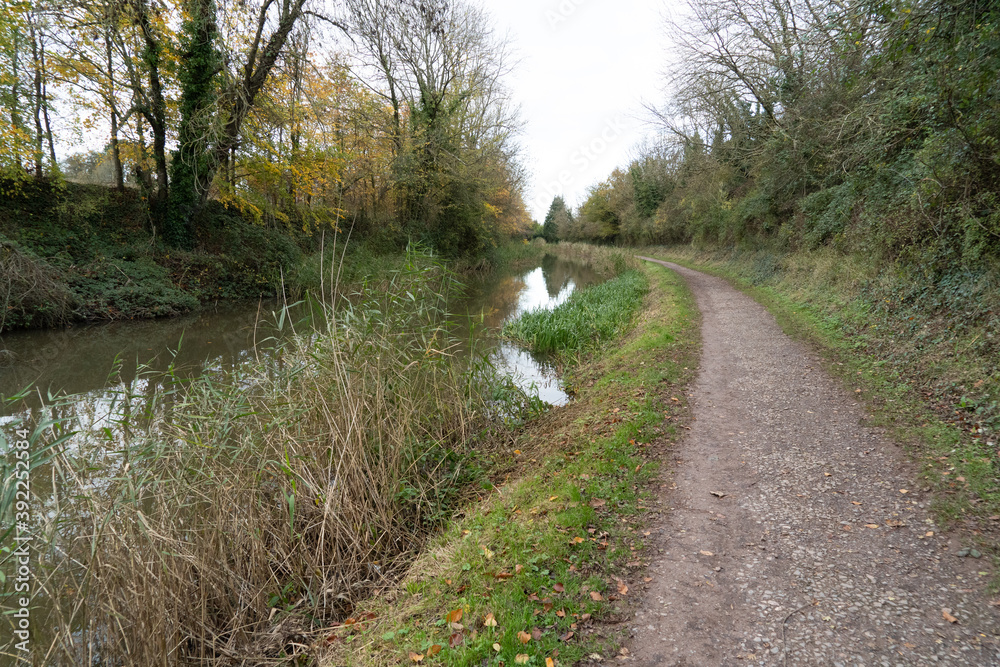 Fototapeta premium Bridgwater to Taunton Canal