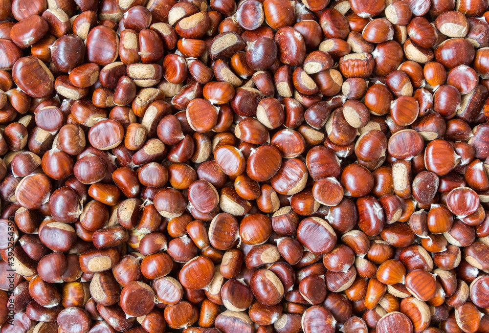 Edible chestnut in full frame as background Edible chestnut in full frame as background