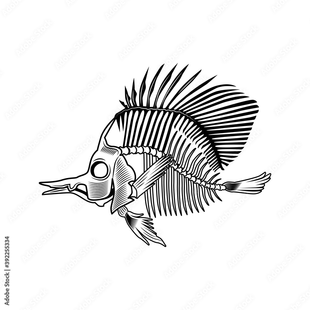 Flatfish bones vector illustration. Fish skeleton, chord, fins, head and  tale. Dead animal or food concept for emblems and labels templates Stock  Vector | Adobe Stock