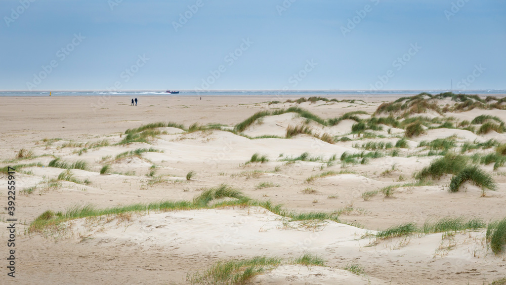 Landscape background with sand dunes, beach and beach grass alog the North Sea coast of he Netherlands