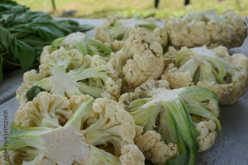 fresh cauliflower on the market