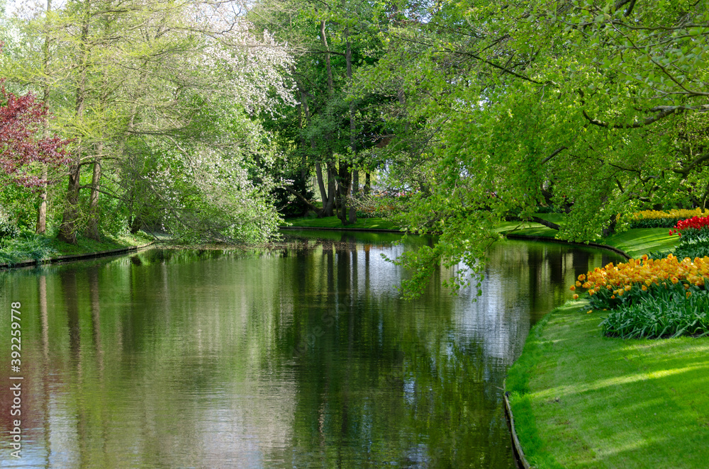 Fototapeta premium lake in the park