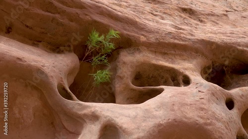 Eroded by water and wind cliffs in the canyon. Little Wild Horse Canyon. San Rafael Swell, Utah. photo