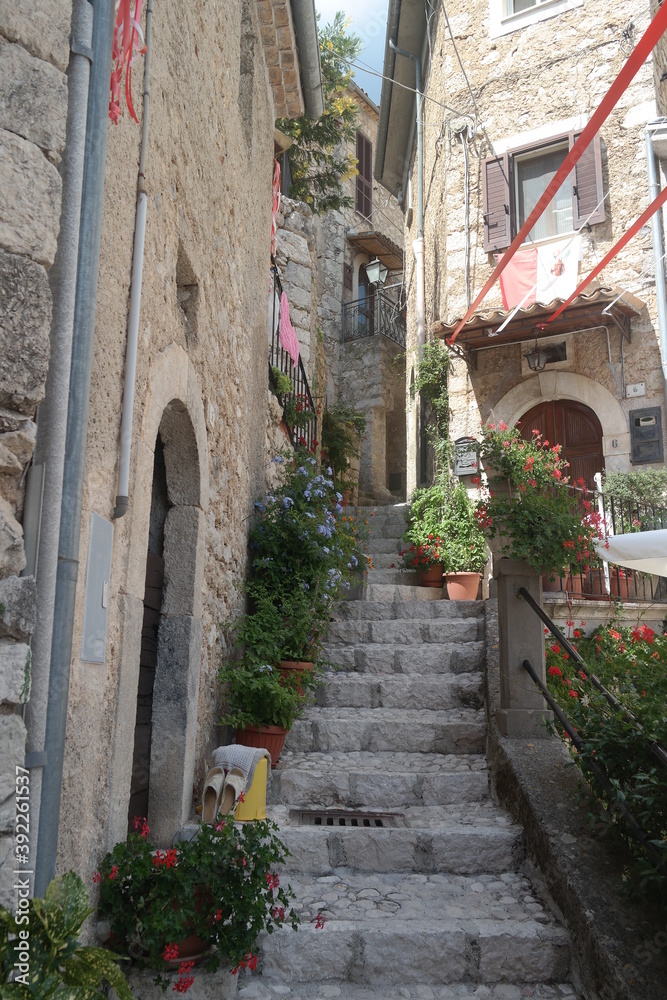 Fototapeta premium SAMSUNG CSC